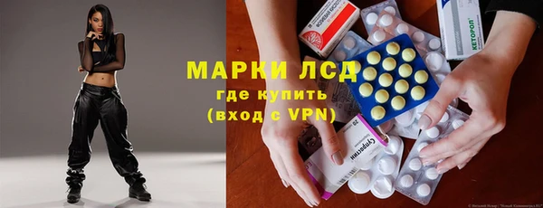 стаф Алзамай