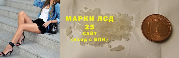 стаф Алзамай