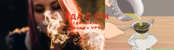 стаф Алзамай