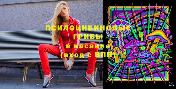 ПСИЛОЦИБИНОВЫЕ ГРИБЫ Алексеевка