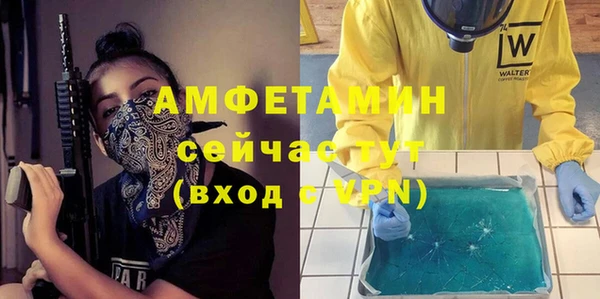 стаф Алзамай