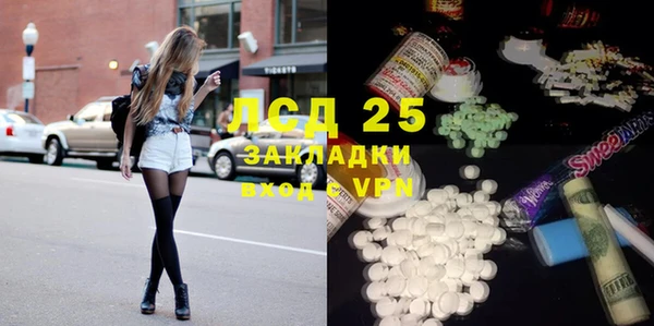 стаф Алзамай