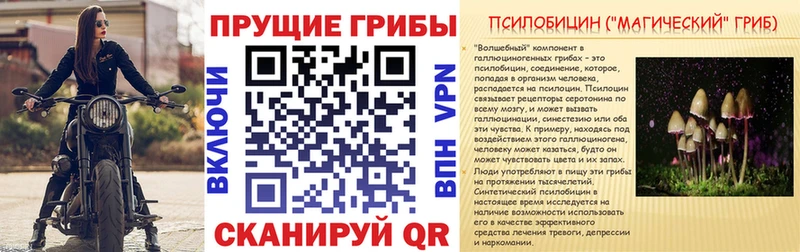 Псилоцибиновые грибы Cubensis  сайты даркнета клад  Фролово 