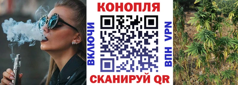 Бошки Шишки планчик  Фролово 